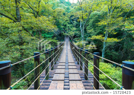 Shiodome Falls suspension bridge Shiodome Falls suspension bridge 15728423