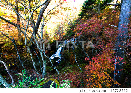 Crown Falls Crown Falls 15728562