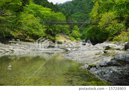 May Waterside of fresh green 121 Yamakita-cho May Waterside of fresh green 121 Yamakita-cho 15728903