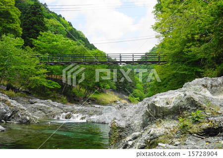 May Fresh green waterside 122 Yamakita-cho 15728904