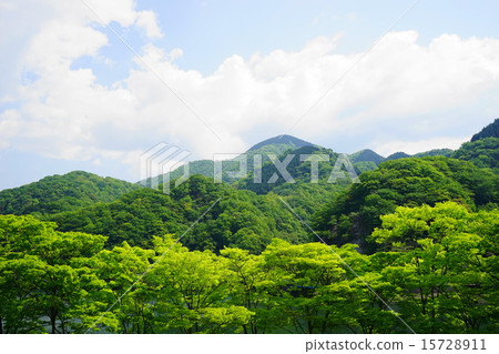 五月新鮮綠湖07丹澤湖 15728911
