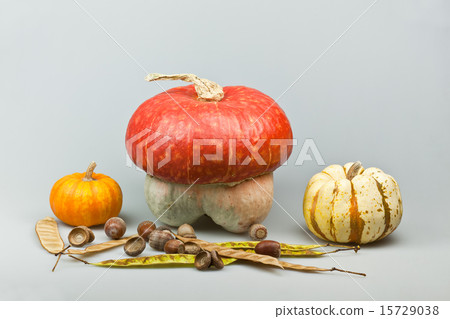 decorative pumpkins decorative pumpkins 15729038