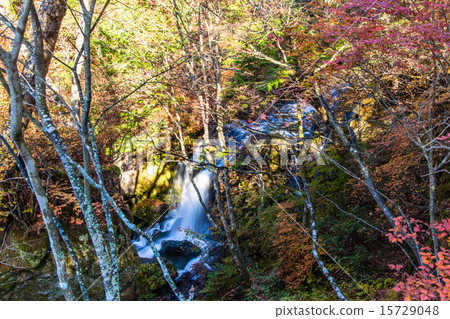 Crown waterfall and autumn leaves Crown waterfall and autumn leaves 15729048