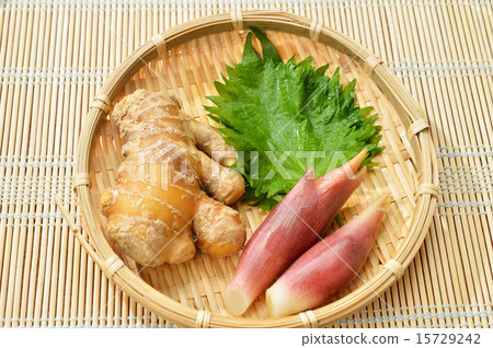 夏天somen的調味品(大葉子,姜,姜) 夏天somen的調味品(大葉子,姜,姜) 15729242