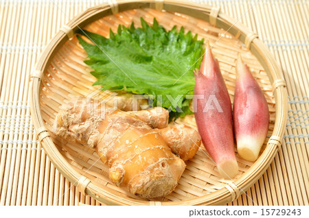 夏天somen的調味品(大葉子,姜,姜) 夏天somen的調味品(大葉子,姜,姜) 15729243