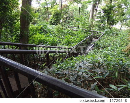 上野發自然公園2 上野發自然公園2 15729248