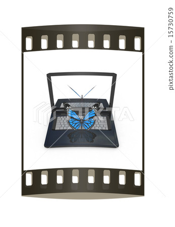 butterfly on a notebook. The film strip butterfly on a notebook. The film strip 15730759
