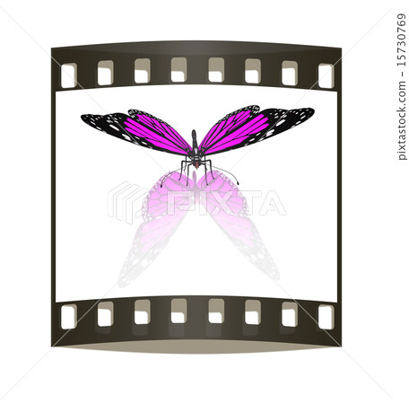 Butterfly. The film strip Butterfly. The film strip 15730769