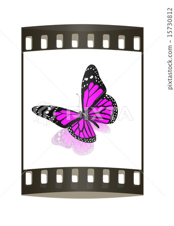 Butterfly. The film strip 15730812