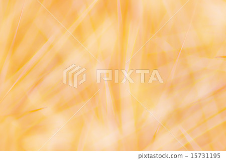 Background Background 15731195