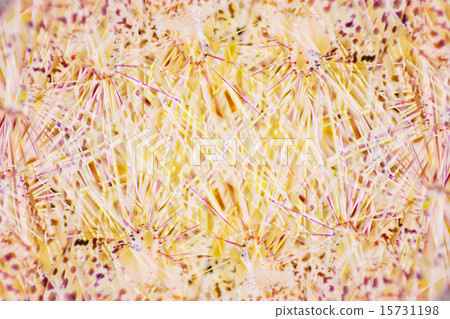 Background 15731198