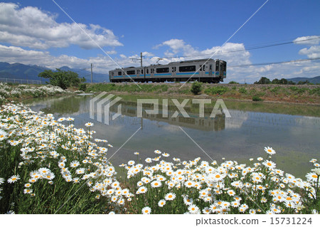 Oki線的5月 15731224