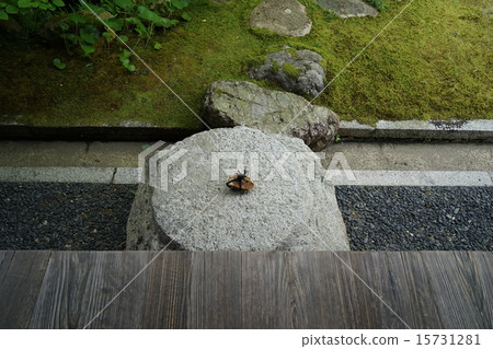 Stone Stone Stone Stone 15731281