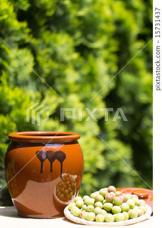 Umeboshi手工製作的醃製食品 15731437