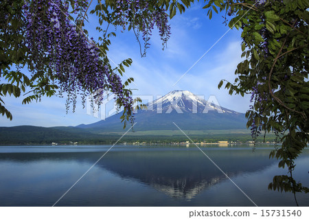 富士山 15731540