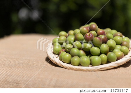 Umeboshi手工製作的醃製食品 Umeboshi手工製作的醃製食品 15731547