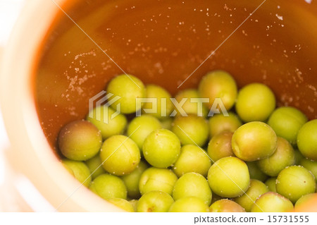 Umeboshi handmade preserved food 15731555