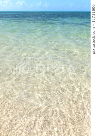 海澳大利亞 15731600