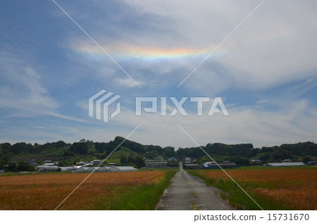 Horizontal Arc Horizontal Arc 15731670