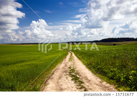 the rural road   15731677