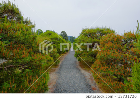 Shogakuin Rikyu Shogakuin Rikyu 15731726