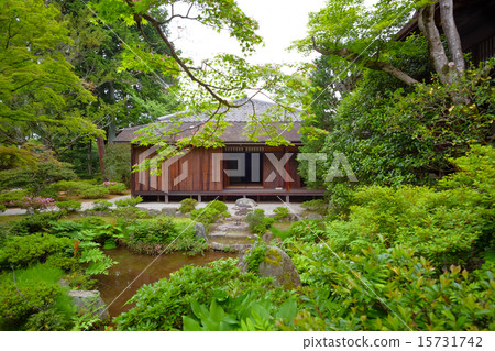 Shogakuin Rikyu Shogakuin Rikyu 15731742