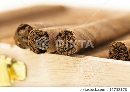cigars   15732178