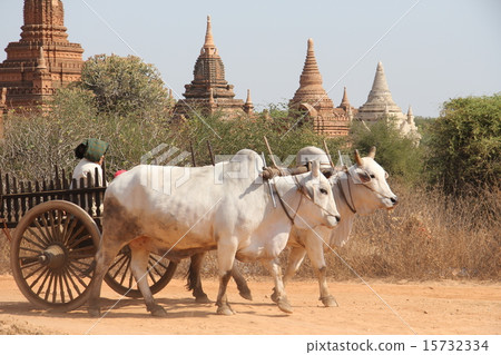 Myanmar Bagan ruins Myanmar Bagan ruins 15732334