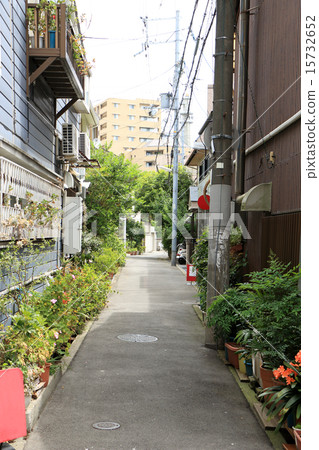 Alley Alley 15732652