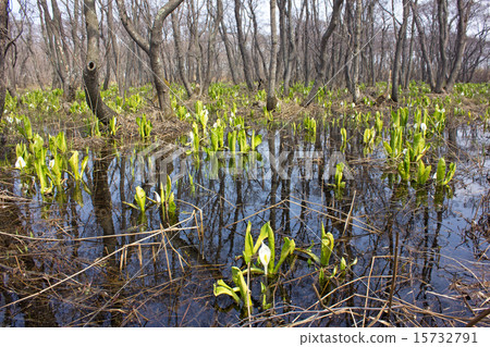 Mizunobasho, Makumabetsu Mire Mizunobasho, Makumabetsu Mire 15732791