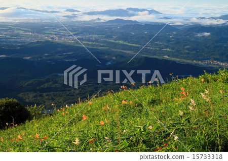 從Nikko Kissei Blooming Kiri Kogen查看 從Nikko Kissei Blooming Kiri Kogen查看 15733318