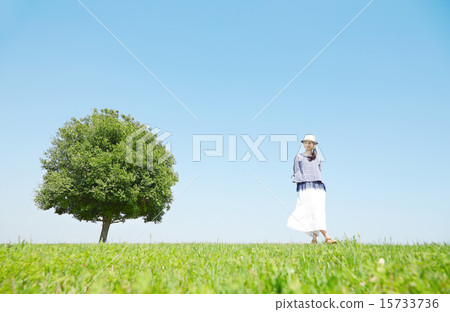 站立在領域的婦女 15733736