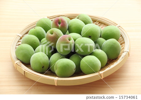 Plum nut (South High) 15734061