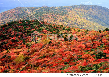 A mountain of autumn colors desired from Adachi-tama 15734485