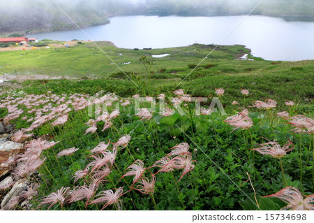 Hakuba Oike池塘和刺激的水果 15734698