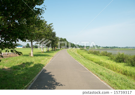 River along the river 15739317