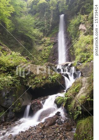 Yoro沒有瀑布 15739414