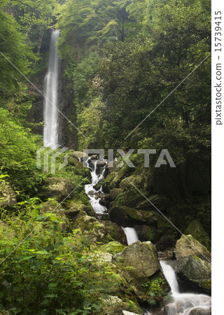 Yoro沒有瀑布 15739415