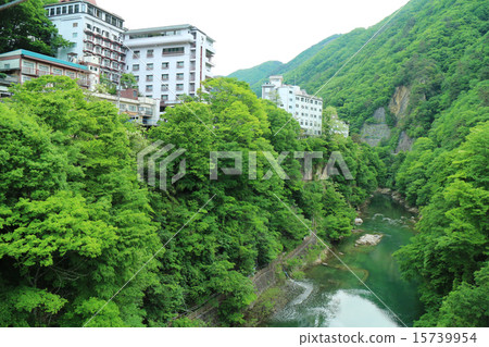Ogres hot spring in Gumma prefecture 15739954