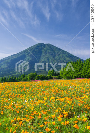 春天生駒高原 15740049