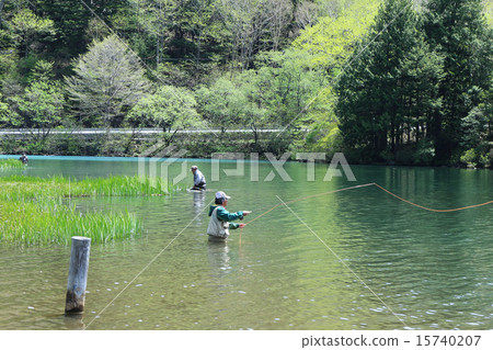 日光的釣魚者沒有ko 15740207