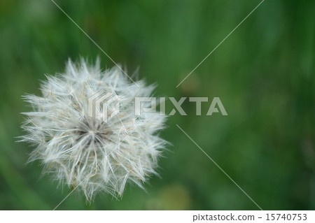 我上傳了 15740753