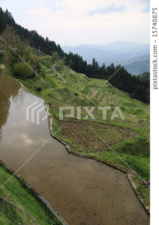 Izumiya的水稻梯田 15740875