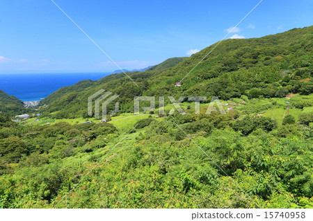 Ishibe Rice terrace 15740958