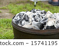 The charcoal on the dodge oven 15741195