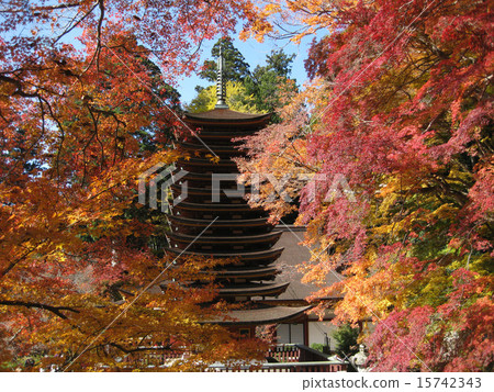 津山神社 津山神社 15742343
