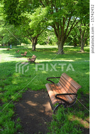 公園的長椅上 公園的長椅上 15742452