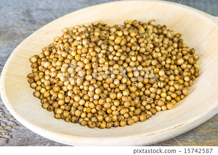 Coriander 15742587