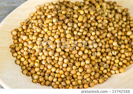 Coriander 15742588