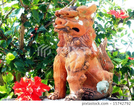 Shisa and a flower Shisa and a flower 15742792
